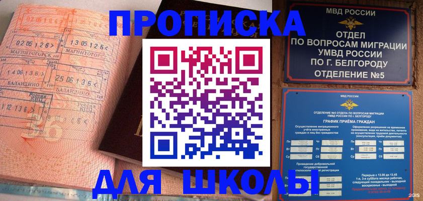 прописка иностранных граждан в Королёве