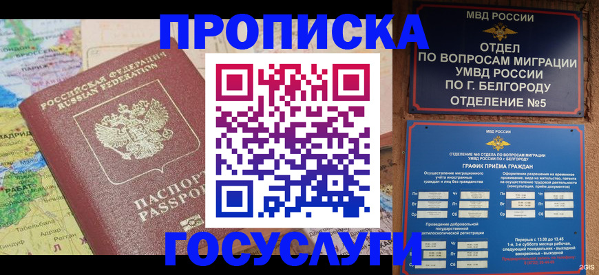 прописка регистрация в Королёве